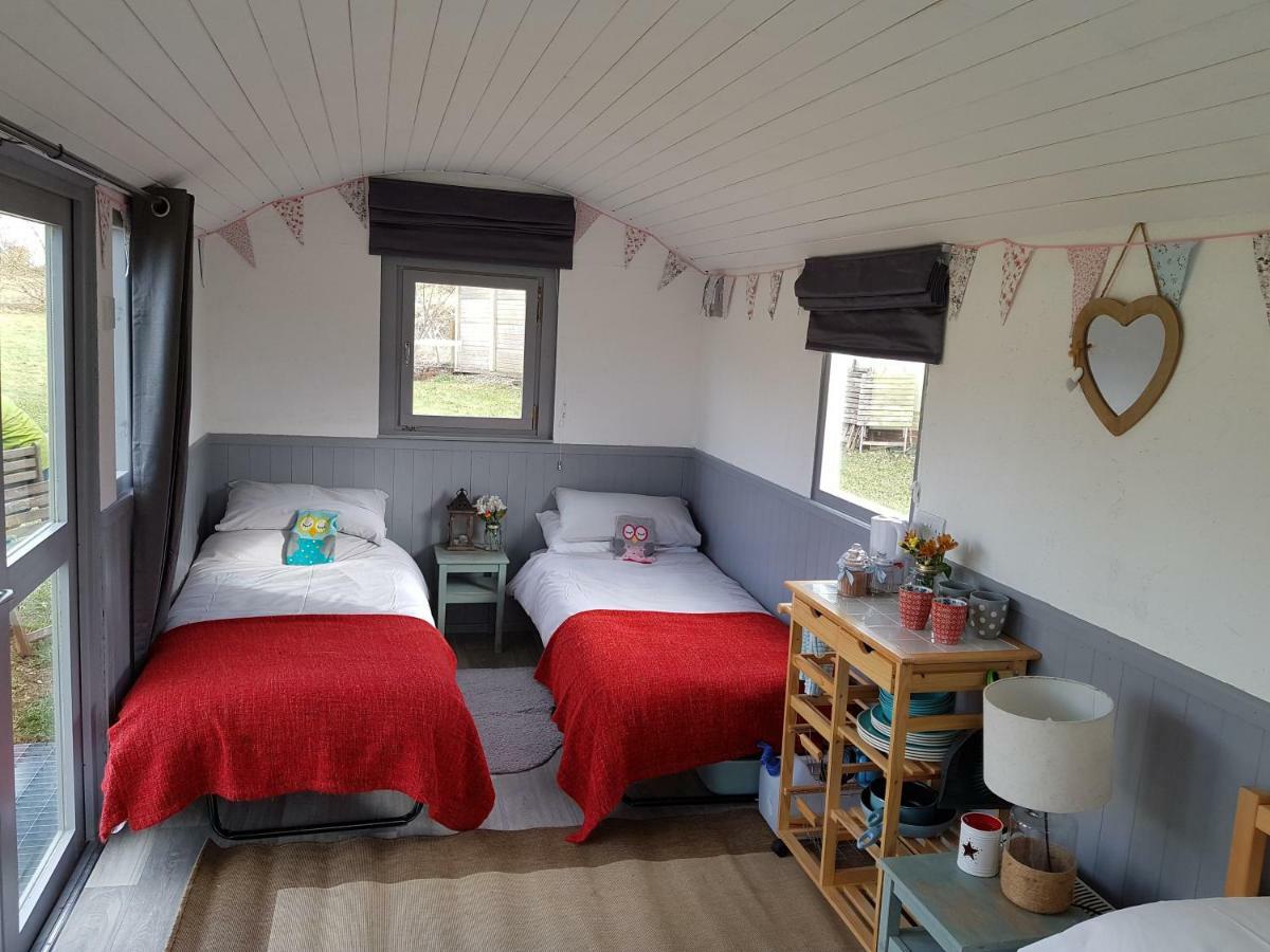 Acorn Camping And Caravan Park 兰特威特马哲 外观 照片
