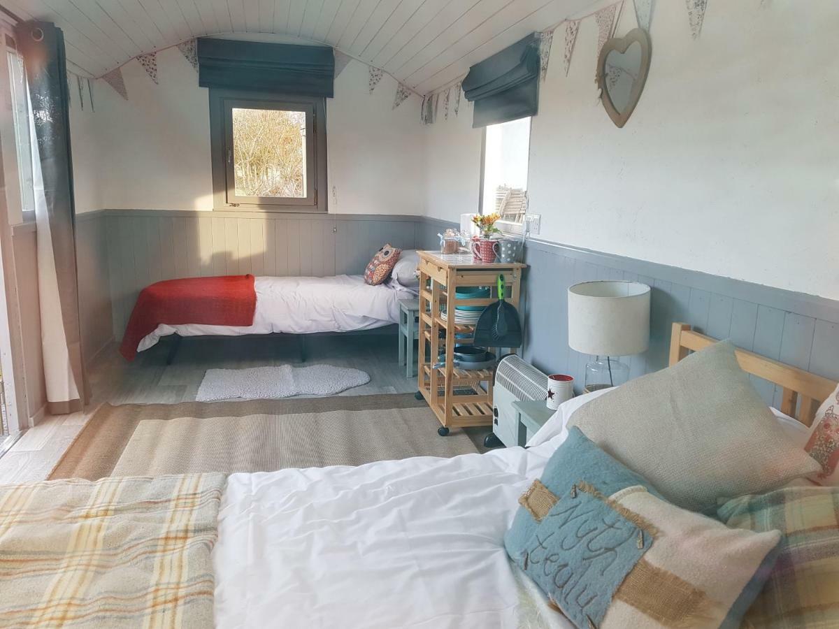Acorn Camping And Caravan Park 兰特威特马哲 外观 照片