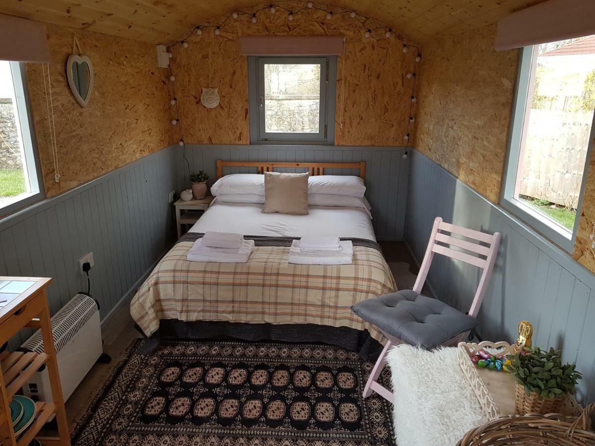 Acorn Camping And Caravan Park 兰特威特马哲 外观 照片