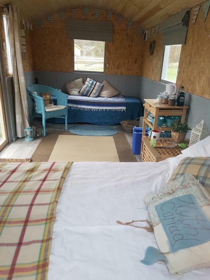 Acorn Camping And Caravan Park 兰特威特马哲 外观 照片