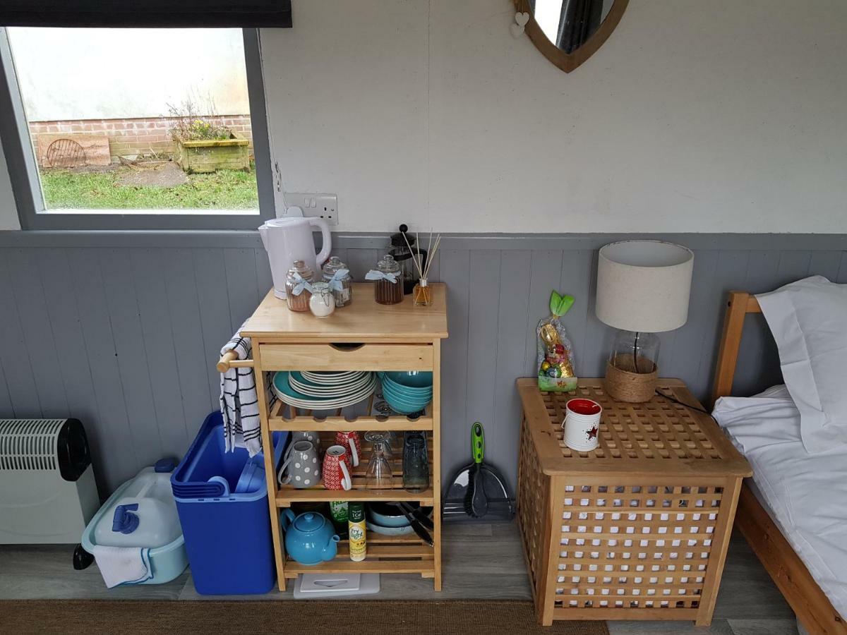 Acorn Camping And Caravan Park 兰特威特马哲 外观 照片
